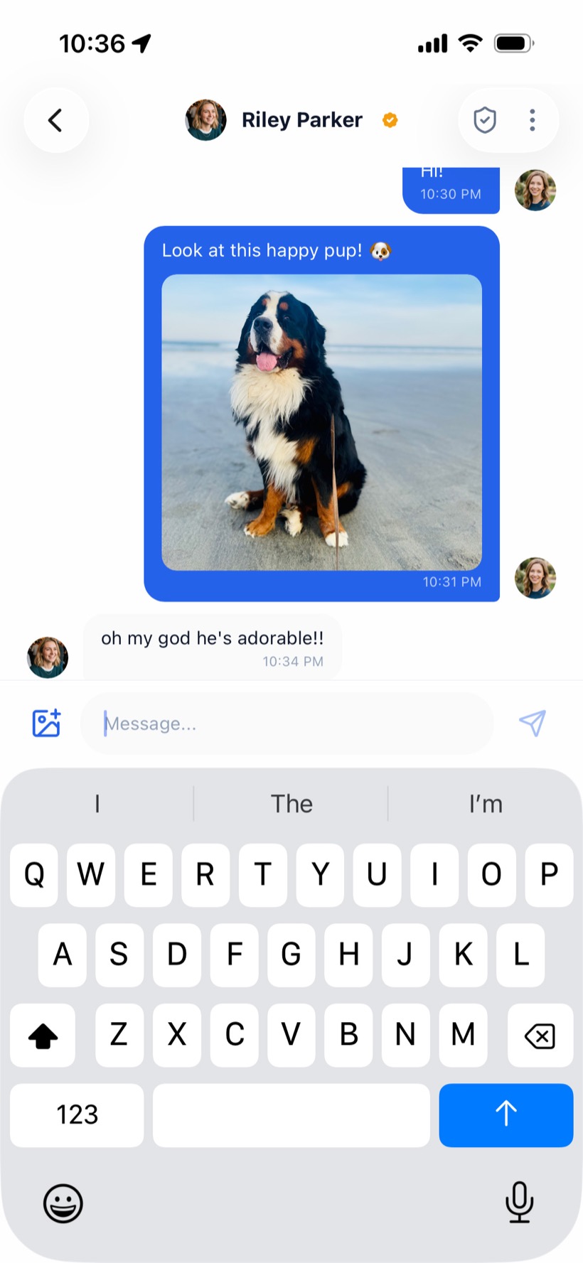 An end-to-end encrypted Boopsy chat with another owner, sharing a photo of their dog at the beach