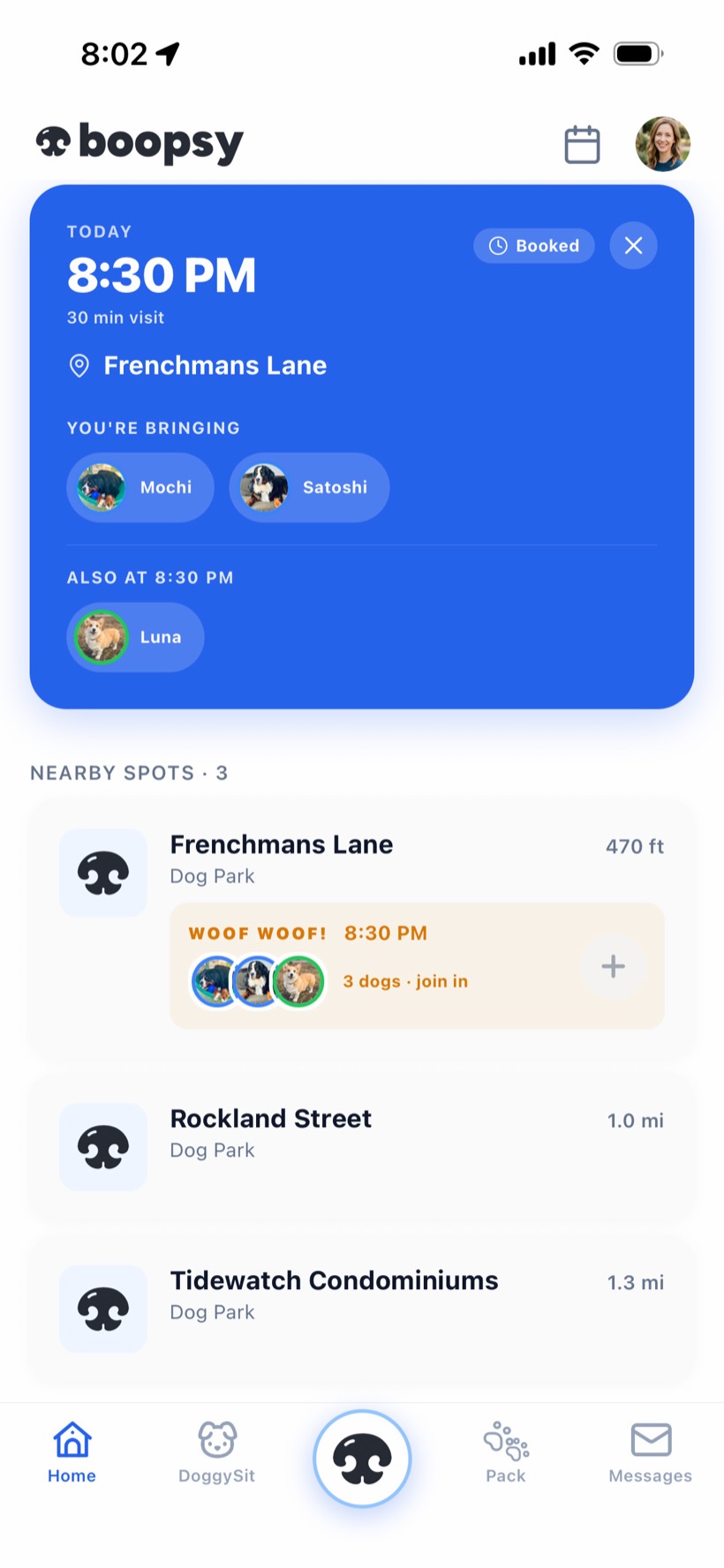The Boopsy app showing today's booked 8:30 PM visit to Frenchmans Lane, the dogs you're bringing, who else is heading there, and nearby parks
